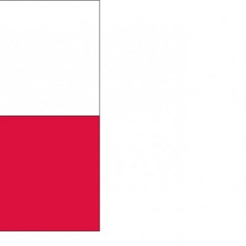 Powiększ obraz: Plakat dofinansowanie Polski Ład